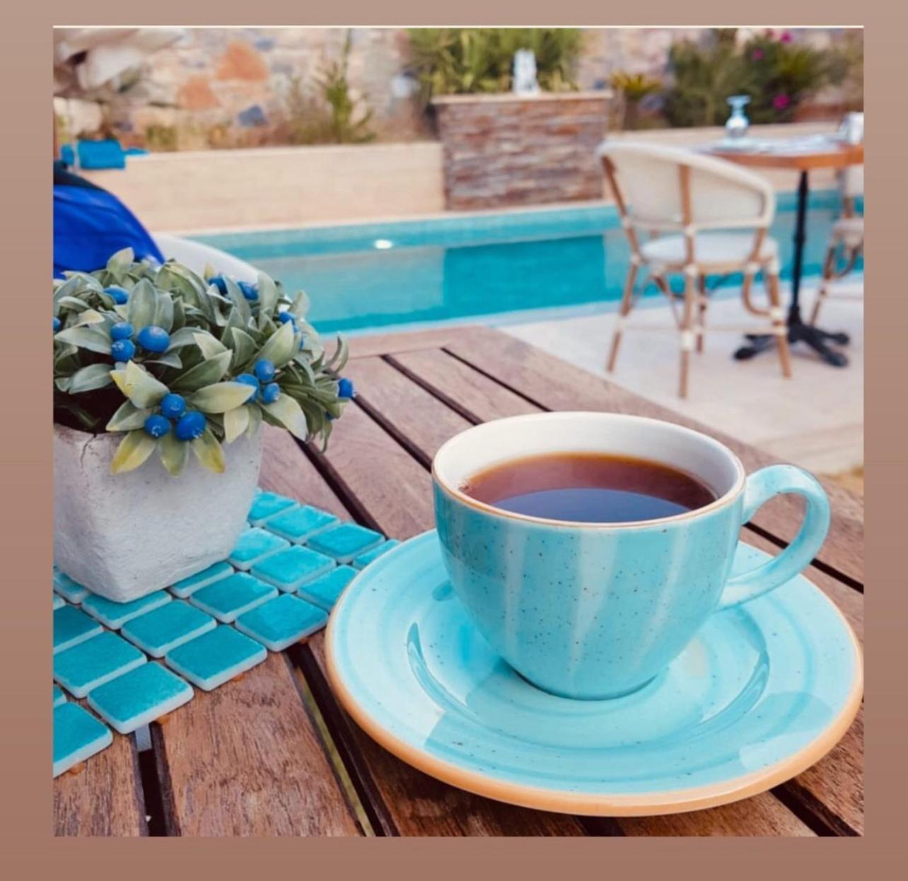 Livia Garden Hotel セルチュク エクステリア 写真